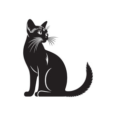 Burmese Cat Vector Silhouette: Sleek and Muscular Feline Illustration Highlighting the Breed’s Distinctive Rounded Features, Glossy Coat, and Expressive Eyes in Clean, Minimalist Vector Style.

