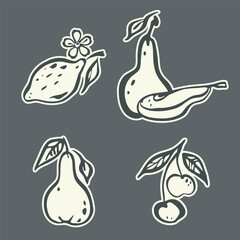 Fruit sticker Set. Doodle icon, hand drawn decorative ink stroke line brush, black sketch contour, fruit symbol cartoon flat design, white background. Various isolated elements. Vector illustration