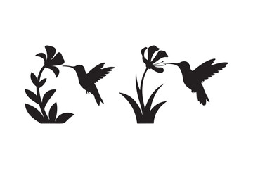 Hummingbird Silhouette Feeding on Flowers Minimal Nature Vector Design