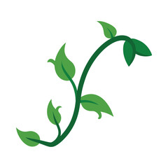 Minimalist green vine with leaves fresh organic design element