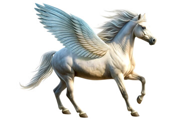 Obraz premium A pegasus isolated on white background PNG