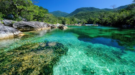 Naklejka premium Clear turquoise water flows through a lush green landscape perfectly