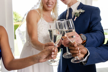 Bride and groom toasting with friends, celebrating joyful wedding moment together