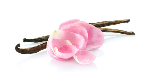 Rose petals with vanilla beans in closeup on white background