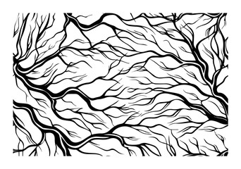 branch vein pattern in hand drawn black vector style
