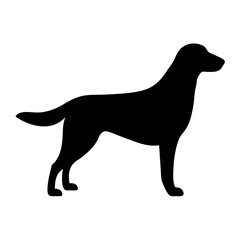 Black silhouette of a well built dog standing sideways on a white background