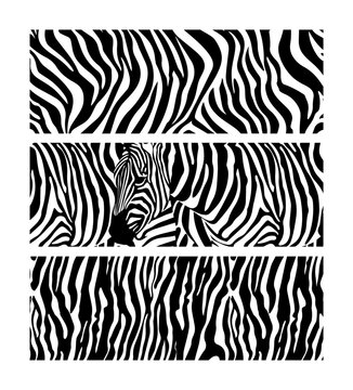 zebra skin pattern and head illustration in black vector style