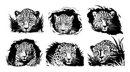 leopard head vector illustrations in jungle tattoo style