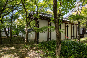 日本、京都、永観堂、禅林寺、寺院、佛寺、佛教、庭園、文化財、木造建築、古代建築、日本文化、歷史名勝、青空、木、綠色、池塘、鯉魚、風景、写真素材