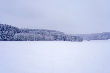 Snow-covered landscape features a serene lake and dense forest on a cloudy winter day