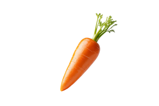 Fresh Orange Carrot with Green Tops Isolated on White Background