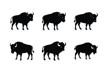 buffalo black silhouette illustration on white background