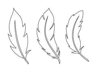 Bird Feathers set isolated on white. Linear vector outline collection in cartoon style.