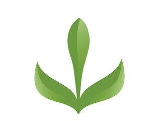 Green spring plant bud illustration in green colors. Sprout, planting and nature design element. Isolated vector image