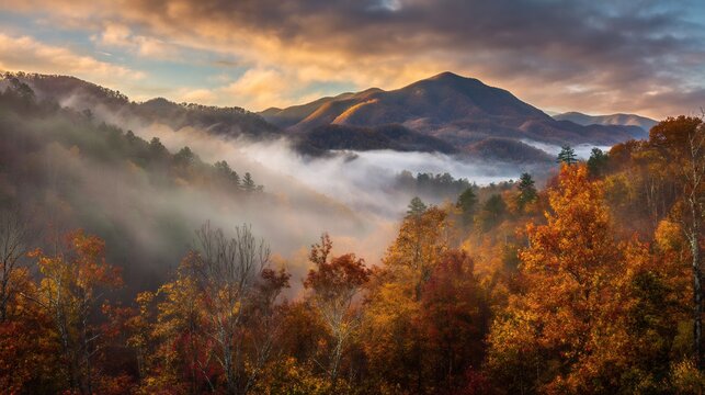 Fog covered autumn mountain range sunrise mist swirling around vibrant orange red leaves the soft glow of morning light casting a warm hue over the landscape cut out on isolated transparent background