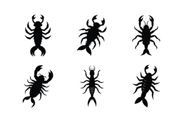 sea scorpion eurypterid black silhouette