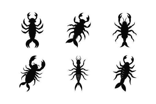 sea scorpion eurypterid black silhouette