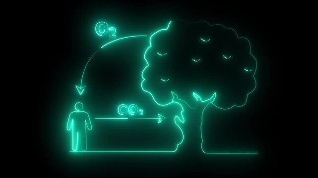 Neon Carbon cycle symbol. Glowing icon of Carbon dioxide oxygen exchange between human being and tree. Labeled educational scheme with biological process explanation and gas exchange in nature.
