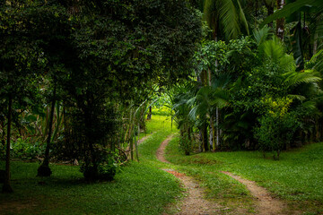A stunning natural landscape featuring lush green grass, tree-covered mountains, and a vibrant blue...