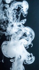 Fototapeta premium Abstract white smoke on black background: ethereal shapes and movements