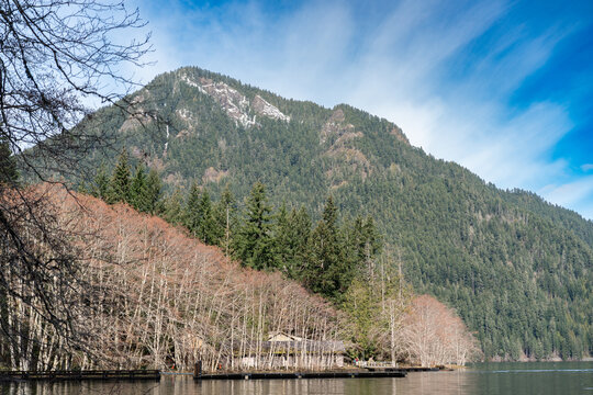 A peaceful lakeside scene at Lake Crescent in Olympic National Park, framed by bare winter trees, dense pine forest, and a snow-touched mountain under a bright blue sky.