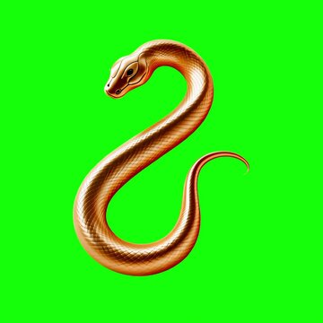 Golden snake animation, transparent 4K video, green screen