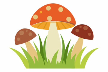 vector illustration of mushroom