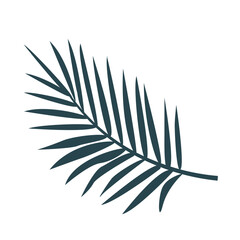 The icon of the tropical palm tree