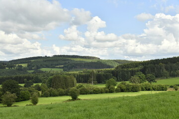 Paysage rural et champêtre entre collines boisées et prairies sous l'ombre des nuages à Bra (Lierneux)