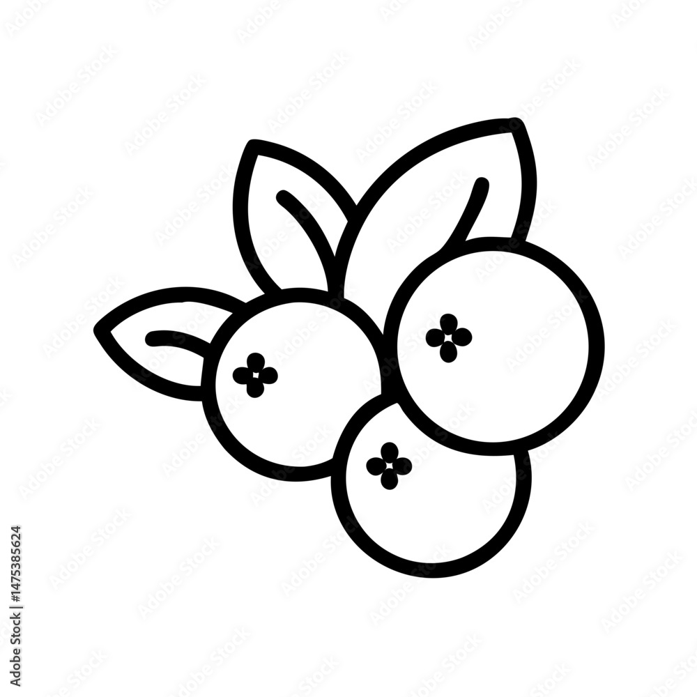 Poster outline drawing of three round fruits with small flower details and leaves in a simple design style