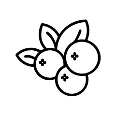 Outline drawing of three round fruits with small flower details and leaves in a simple design style