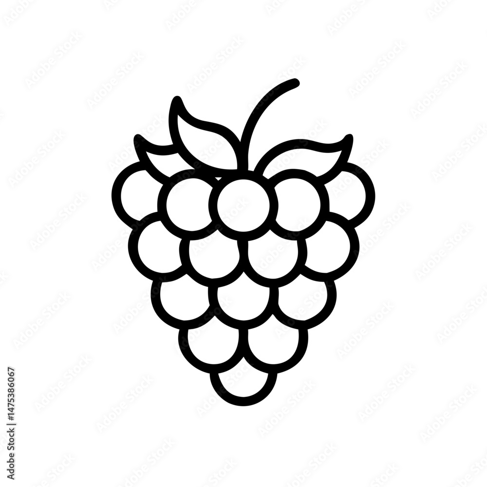 Poster outline drawing of a raspberry with leaves and stem isolated on a white background for design use
