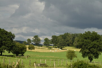 Contraste entre le vert du paysage rural sous le soleil et les nuages sombres à Bra (Lierneux)