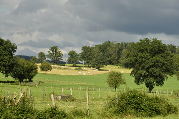 Contraste entre le vert du paysage rural sous le soleil et les nuages sombres à Bra (Lierneux)