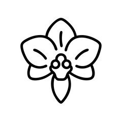 Simple outline drawing of a single orchid blossom with smooth petals and a detailed center design element