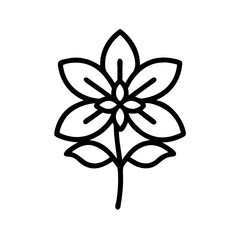 Simple botanical drawing of a flower with petals and stem in black outline style isolated on white