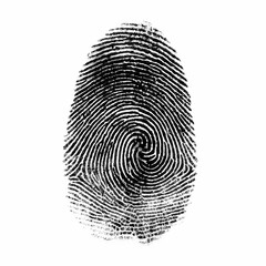HighResolution Fingerprint Image Perfect for Identity  Security Projects