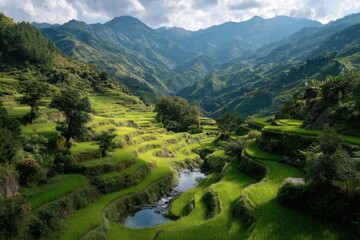 Fototapeta premium Lush rice terraces cascade down verdant mountain slopes with river winding through valley, creating scenic landscape