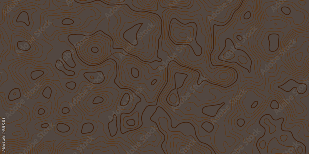 Poster modern topographic map displays contour lines, indicating elevation changes across the surface. it i