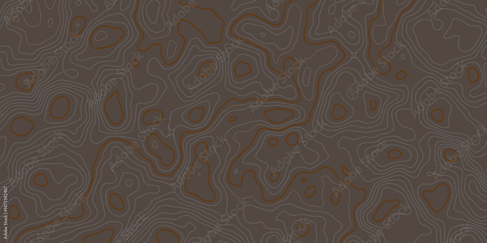 Poster modern topographic map displays contour lines, indicating elevation changes across the surface. it i