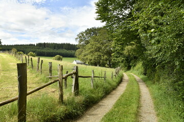 Chemin entre pâtures et bois aux environs de Bra (Lierneux)