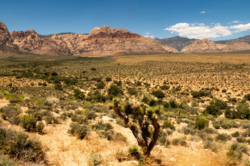 Paysage désertique et curiosité géologique