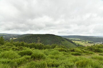 Végétation sauvage sur les collines sous un ciel humide à Vielsalm (Verviers) 