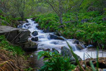 Forest landscape with mountain river at early spring, Armenia