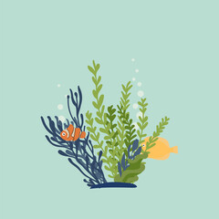 Vector illustration with algae and fish. Compositions for beach decoration, menus, postcards, posters.
