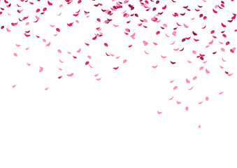 rideaux de pétale de fleur de couleur rose 