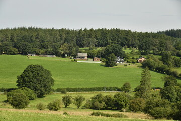 Paysage rural bucolique entre prairies et forêts aux environs de Bra (Lierneux) 