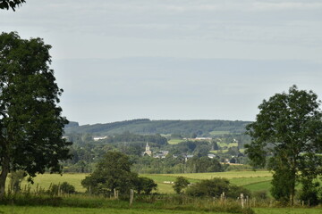 Paysage rural entre prairies et collines boisées à Bra (Lierneux) 