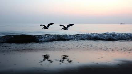 Two seabirds are flying over the ocean water near shore