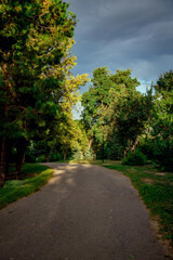 Pathway meanders through a lush, green park under a dramatic, cloudy sky. Trees line the path, casting gentle shadows on the ground. The scene is serene and inviting